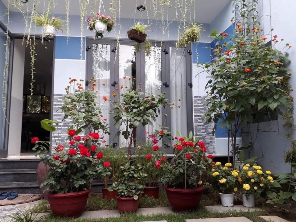 Cherry Garden Homestay Hoi An Exterior foto