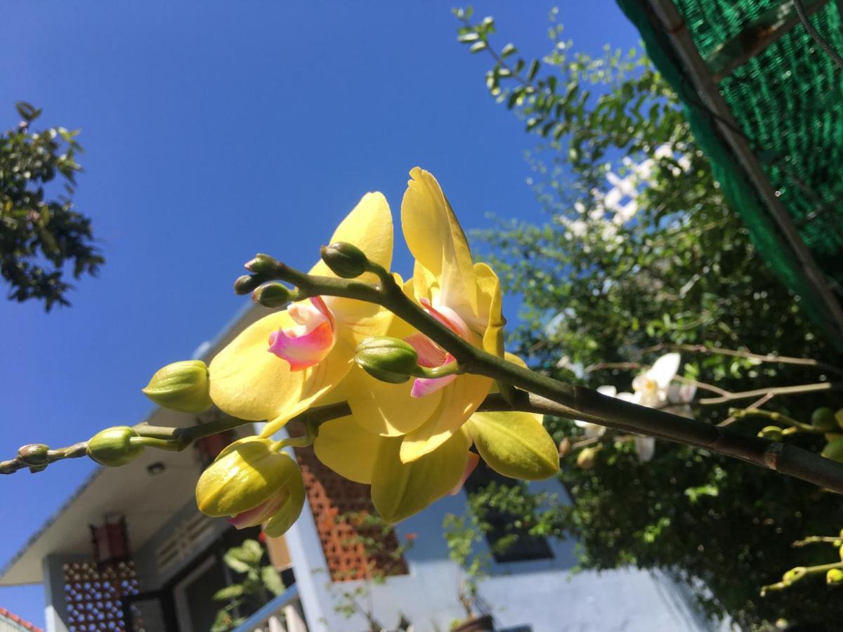 Cherry Garden Homestay Hoi An Exterior foto