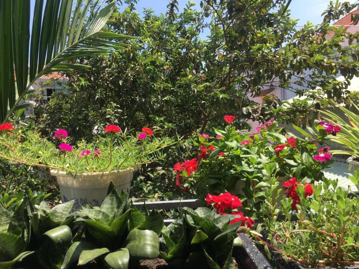 Cherry Garden Homestay Hoi An Exterior foto