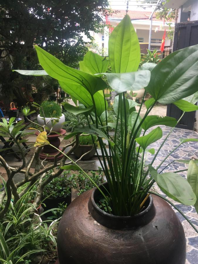 Cherry Garden Homestay Hoi An Exterior foto