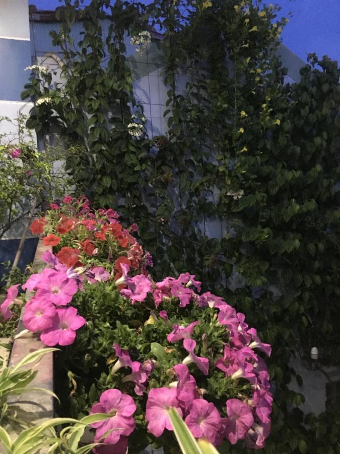 Cherry Garden Homestay Hoi An Exterior foto