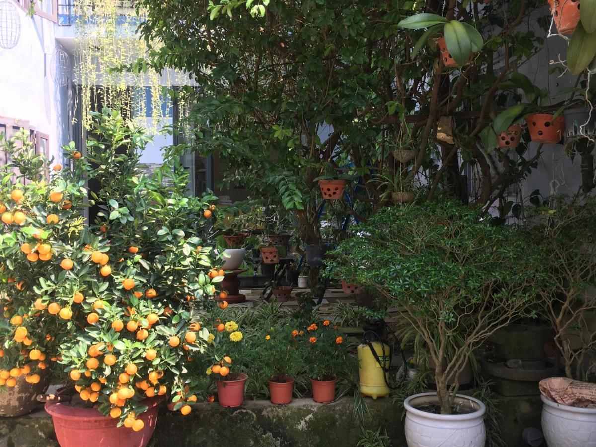 Cherry Garden Homestay Hoi An Exterior foto